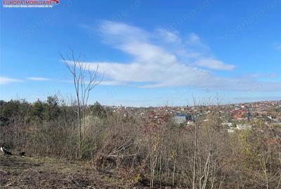 Teren de vanzare zona Bididia Tulcea - 2