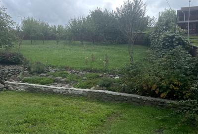 Casă cu 4 camere în Praid - 5