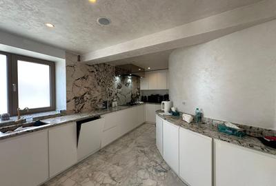 Casă individuală cu 8 camere cu Canalizare în Iancu Nicolae - 4