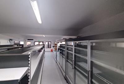 Spatiu comercial si Vila P+1 de vanzare in Comuna Cosereni, jud.Ialomita, 50 km - 5