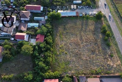 Teren intravilan -2679 mp-Branesti / Islaz - 4