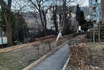 Apartament cu 2 camere decomandat în Central - 11