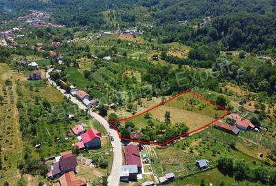 Teren de vanzare in comuna Cicane?ti, sat Bara?ti, jude? Arge?. - 10