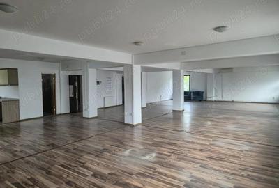 Spa?iu comercial birouri de inchiriat 200 mp, Str. Vasile Lupu 55 - 3