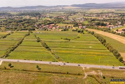 Teren extravilan Lunca Calnicului langa E574 - 2