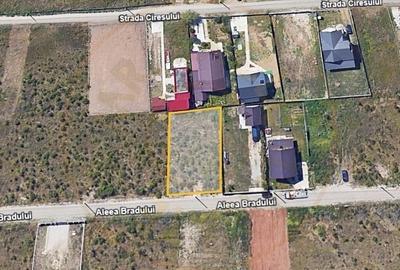 Teren Trivale - Aleea Bradului - Zona excelenta Teren Trivale - Aleea Bradului - Zona excelenta - 1