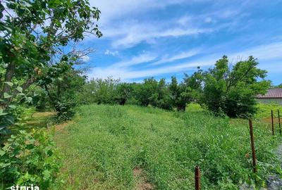 Teren de 2380 mp, în Gurbănești - 1