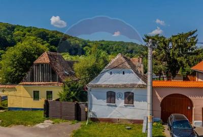 Casă cu 4 camere cu Teren 5576 Mp în Bunești - 18