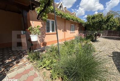 Casă cu 4 camere cu Teren 6325 Mp în Medieșu Aurit