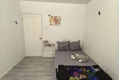 Apartament cu 2 camere decomandat în Elisabetin - 4