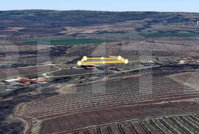 Teren de 2618 mp, în Plopu - 3