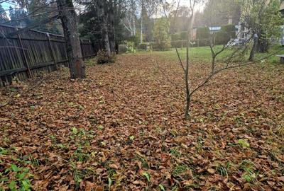 Casa de vacanta Timisu de Sus/Brasov/Oportunitate investitie - 16