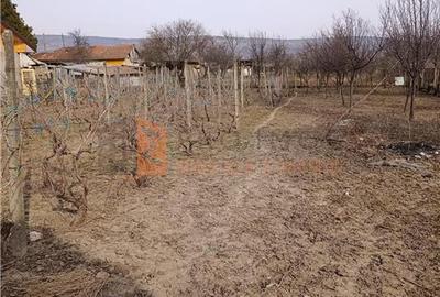 Casă individuală cu 5 camere cu Teren 2100 Mp în Ulmeni - 15