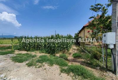 Teren de 1690 mp, în Sântuhalm - 4