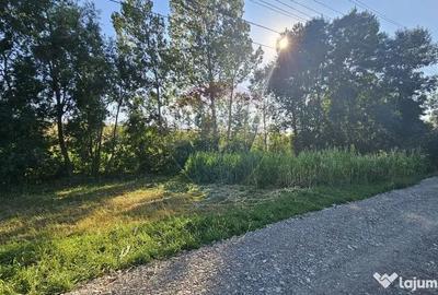 Teren de 7500 mp, în Moara - 13