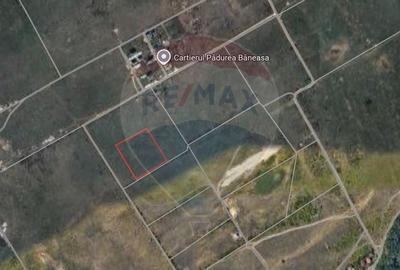 DE VANZARE Teren intravilan 600mp Drumul Piscul Mosului SISESTI - 2