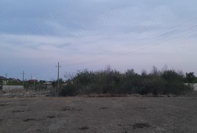 Teren intravilan de inchiriat comuna 1 Decembrie, jud Ilfov - 1