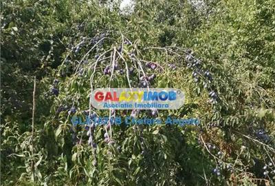 Casă cu Teren 2000 Mp în Central - 2