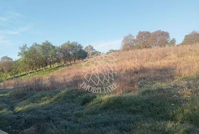 Spațiu comercial, în Ghirolt - 7