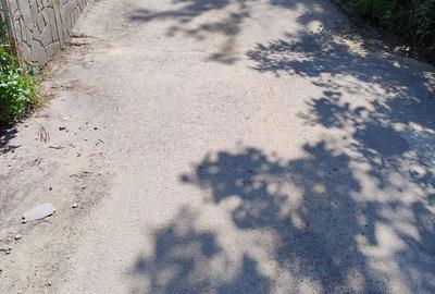 Spațiu comercial, în Nord - 4