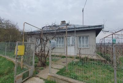 Casă individuală cu 3 camere cu Teren 3275 Mp în Central - 1