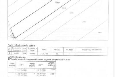 Teren de 20947 mp, în Moara - 6
