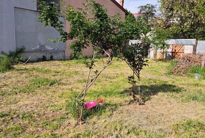 556mp - langa Parcul Circului - liber de constructii - 9