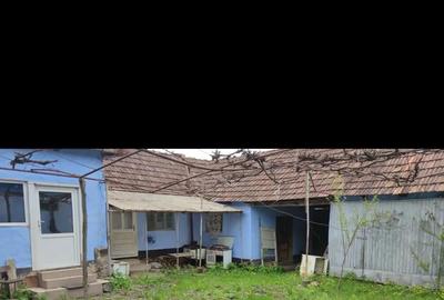 Casă cu 5 camere cu Teren 3313 Mp în Hodiș - 5