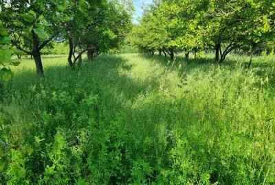 Casă cu 4 camere în Central - 3