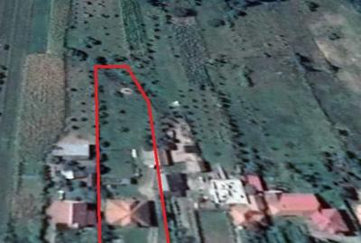 Casa P+M 165mp Sc 135mp Su. 2700mp teren , Floresti Mehedinti - 3