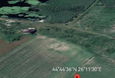 Snagov Silistea teren intravilan 14700mp .La 100m de lac. - 6