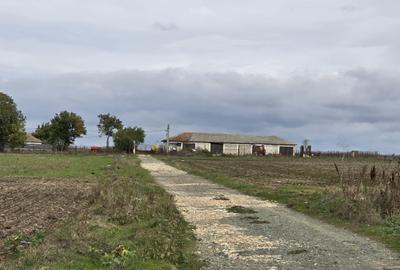 Amzacea- sat G. Scarisoreanu -Ferma zootehnica , 5,1 hectare - 2