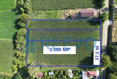 Teren de 3500 mp, în Bogdănești - 5