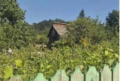 Casa si teren cota parte 3/16, Vladiceni, ID: R2764937 - 15