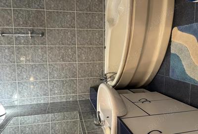 Apartament 2 camere Ion Mihalache - 3