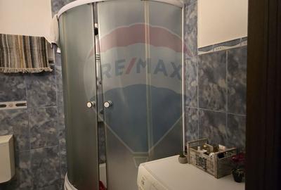 Casă / Vilă cu 5 camere de vânzare în zona George Enescu - 11