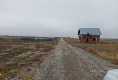 Teren Intravilan Letca Noua DN61 deschidere 235m - 6