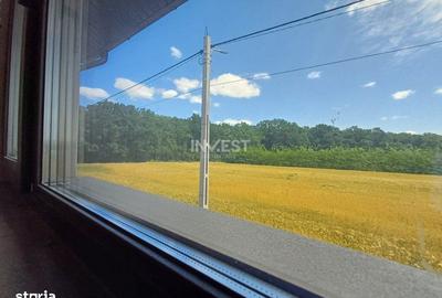 Casă cu 4 camere cu Teren 400 Mp în Miroslava - 7