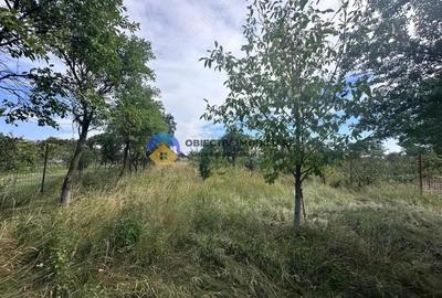 Teren de Vanzare 1172 mp Dumbrava Ro?ie, Neam? - 1