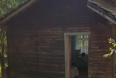 Spațiu comercial, în Podul Lung - 7