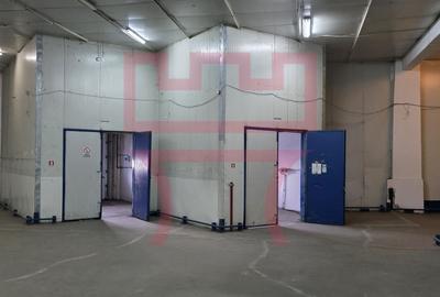 Spațiu industrial, de 405 mp, în Someșeni