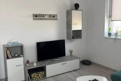 Apartament cu 2 camere decomandat, mobilat în Braytim