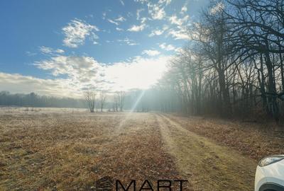 Teren langa liziera padurii 7000mp Calea Poplacii - 1