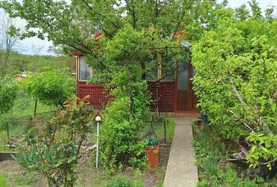 Vand casa cu teren 2093 mp Murgesti Buzau Vand casa cu teren 2093 mp Murgesti Buzau - 6