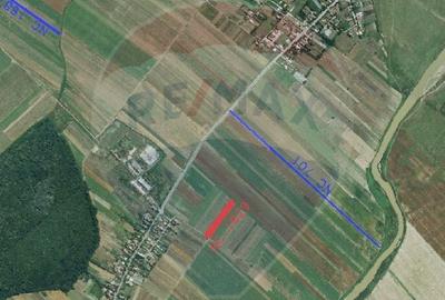 Teren 4,955mp in Nuci Ilfov, la numai 100 m de ultima cas... - 1