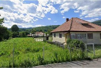 Teren de 24334 mp, în Secăria - 5