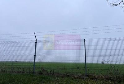 Teren Domnesti- Depozit Altex, Emag. - 5