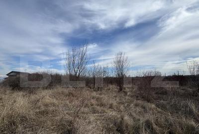 Teren extravilan de vanzare, 15.000 mp, zona Narcise II - 1