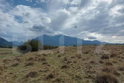 Teren de vanzare in Rasnov zona Glejerie, 10.000 mp - 2