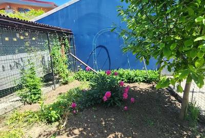 Casă cu 3 camere în Coiciu - 10
